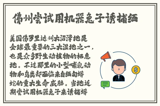 爱如潮水免费观看日本